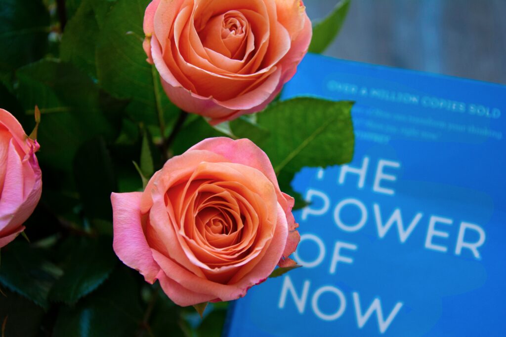 The Power of Now book by Eckhart Tolle